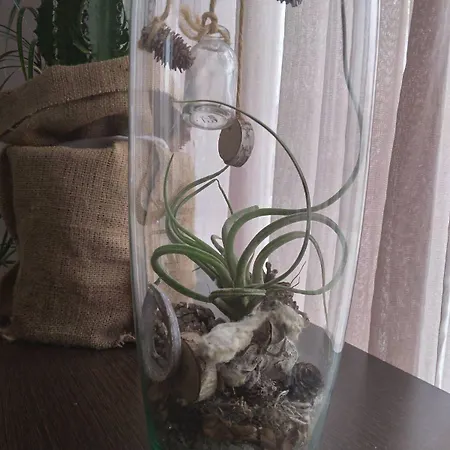 Philippos Xenia Szálloda Széresz