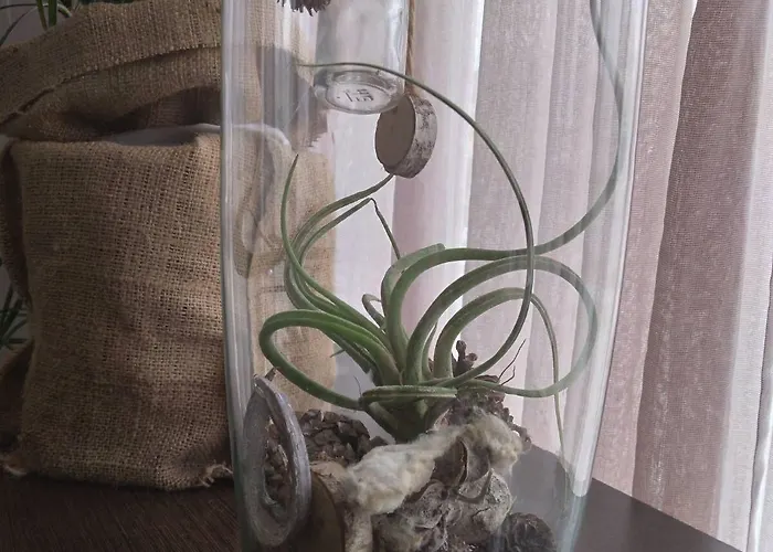 Philippos Xenia Hotel Serres